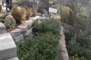 NELSON PINEDA LANDSCAPING thumbnail 4