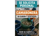 EMPLEO CRIMASA en Guayaquil