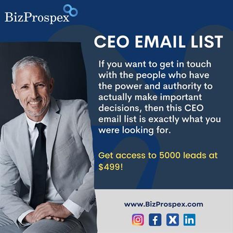 CEO Email Lists image 1