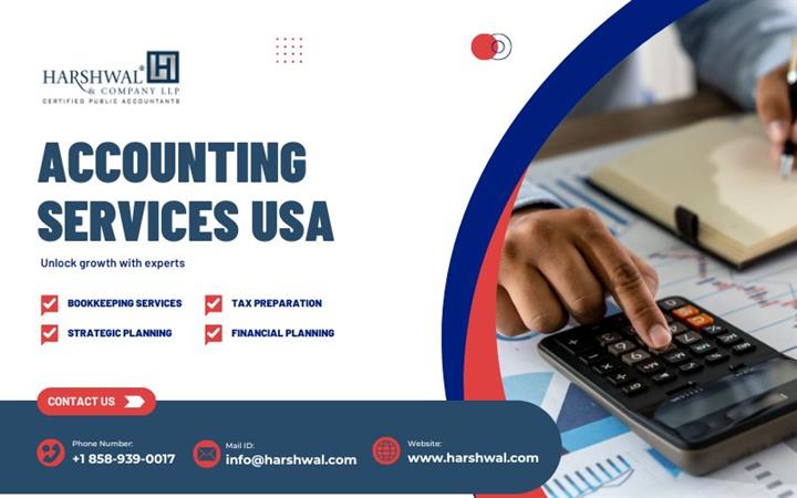 Expert Accounting service USA image 1