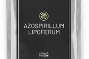 Buy Azospirillum Lipoferum en Wyoming