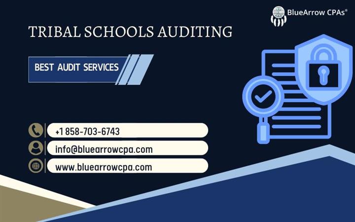 Best Tribal Schools Auditing image 1