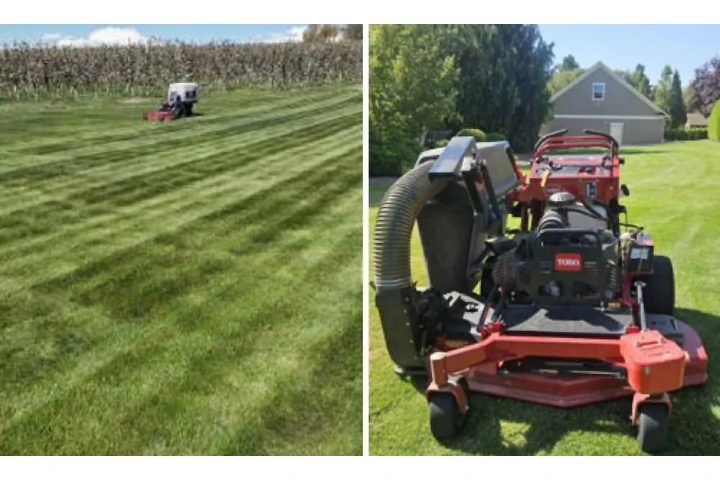 Godinez Landscaping LLC image 6