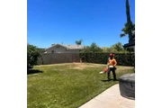 Aguilar Tree Trimming thumbnail 2