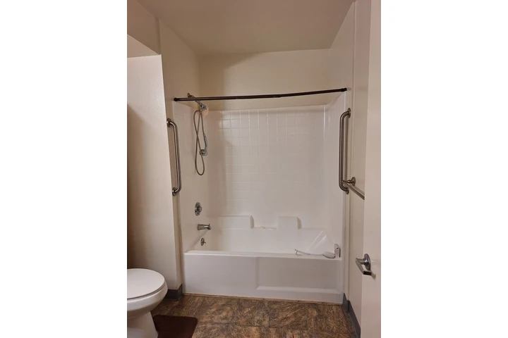 HANDYMAN BFS image 5