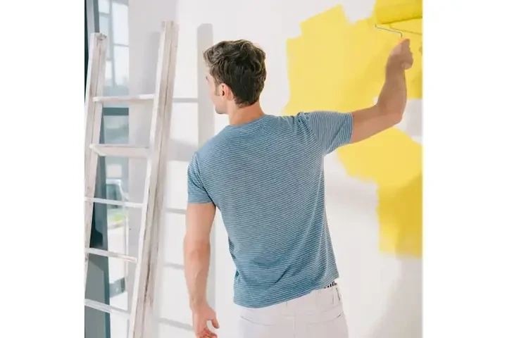 PINTURA DE CALIDAD image 2