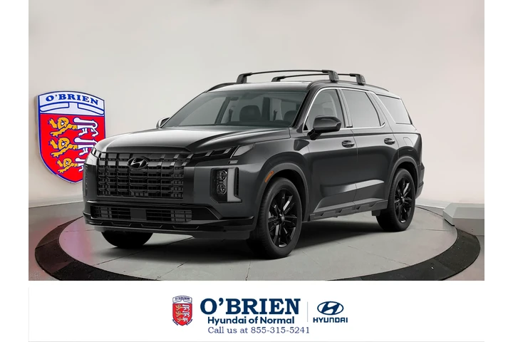 $32900 : Hyundai PALISADE 2023 AWD XR image 1