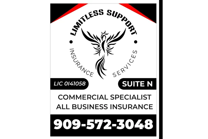 limitless suport insurance image 1