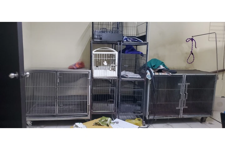 $60000 : Equipo para baño de perros image 6