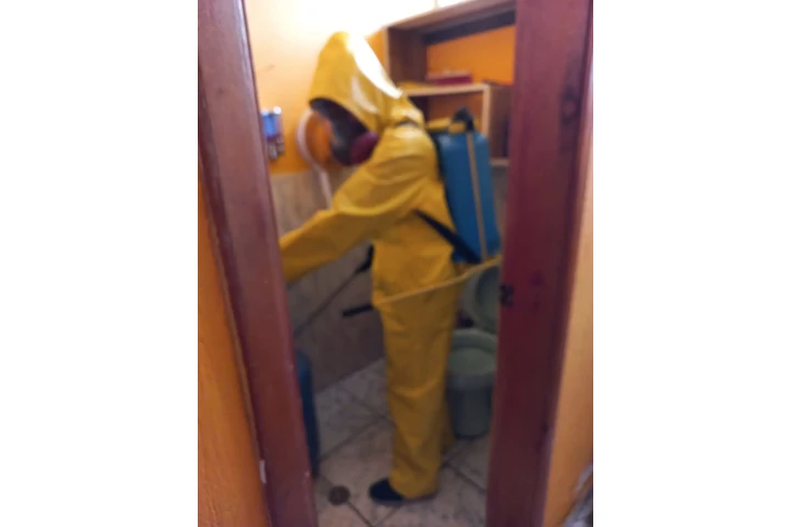 Servicio profesional de fumiga image 1