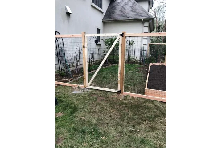 Tree One Experts image 4