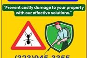 PEST CONTROL SERVICES 24/7 .- thumbnail