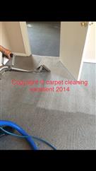 Profesionales Carpet Cleaners image 3