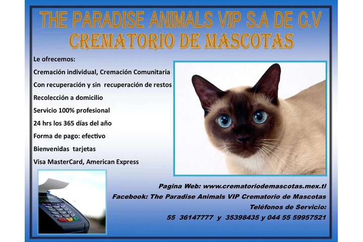 Cremacion para Mascotas image 2