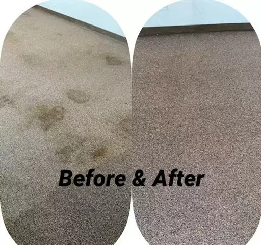 Mireles Carpet Cleaning image 3