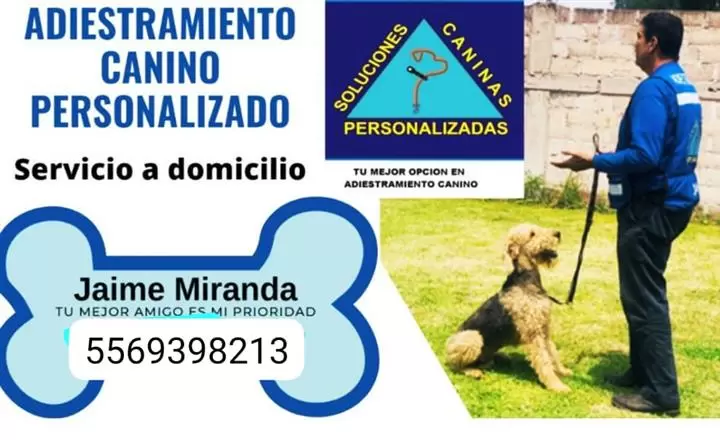 Adiestramiento Canino image 1