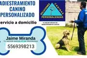 Adiestramiento Canino en Naucalpan