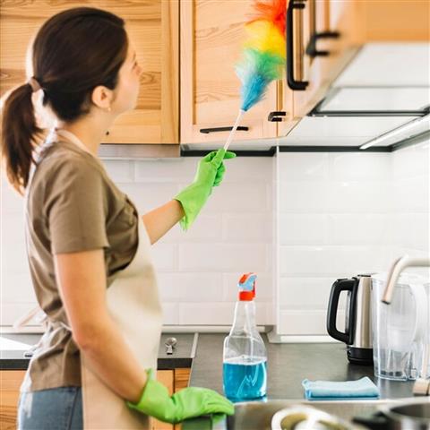 Leanis Pro Cleaning Company image 2