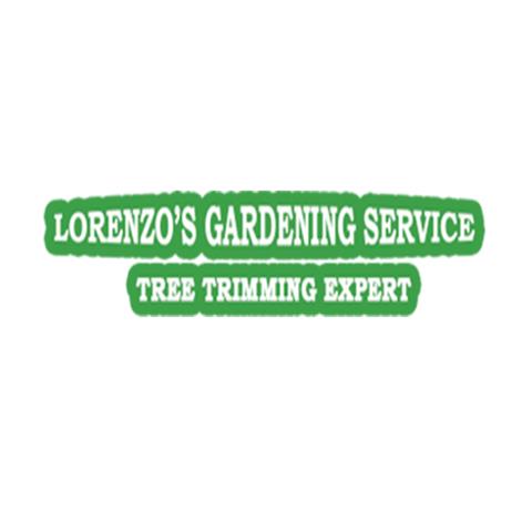 Lorenzo Landscaping Services image 1