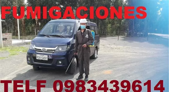 CUCARACHAS en Conocoto image 3