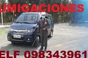 CUCARACHAS en Conocoto thumbnail