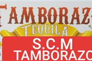 TAMBORAZO 🎵🎶🎺 TAMBORAZO 🎺 thumbnail