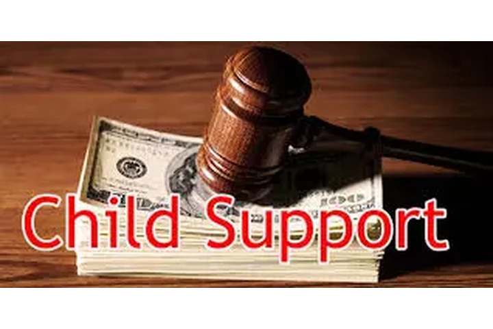 CHILD SUPPRT SE AREGLA EL PAGO image 2