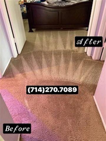 CARPET CLEANING EDWIN image 1