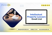 Intellectual Property Lawyers en New York