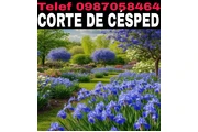 CORTE DE CÉSPED Tumbaco thumbnail