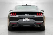 $33995 : Ford Mustang 2025 EcoBoost P thumbnail
