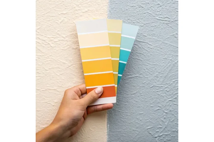 Pintura Profesional image 1