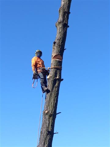 Irrigation system, Repair, image 5