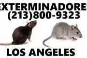 EXTERMINADOR CUCARACHAS 24/7 en Los Angeles