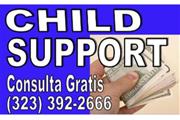 █►CUSTODIA/VISITA/CHILDSUPPORT en Los Angeles