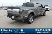 $18999 : Ford F-150 2014 4x4 Platinum thumbnail