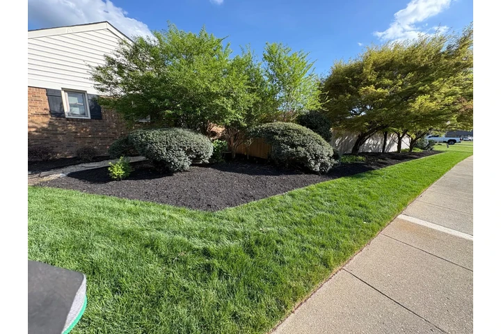 Professional Landscaping image 6