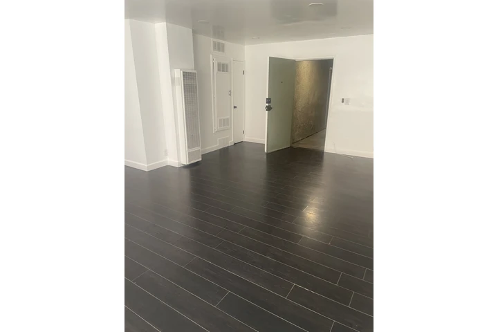 $2450 : 132 EAST ADAMS BLVD image 8