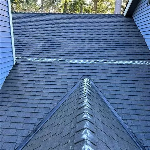 New Life Roof Cleaning image 3