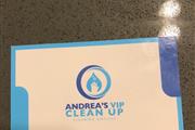 ANDREA’S VIP CLEAN UP LLC thumbnail 2