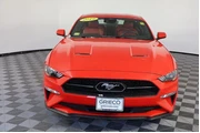 $16488 : Ford Mustang 2019 EcoBoost P thumbnail