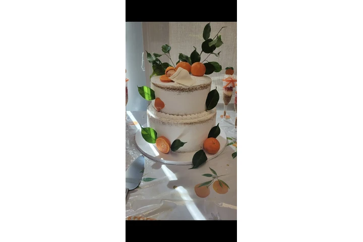 verospatries_ image 6