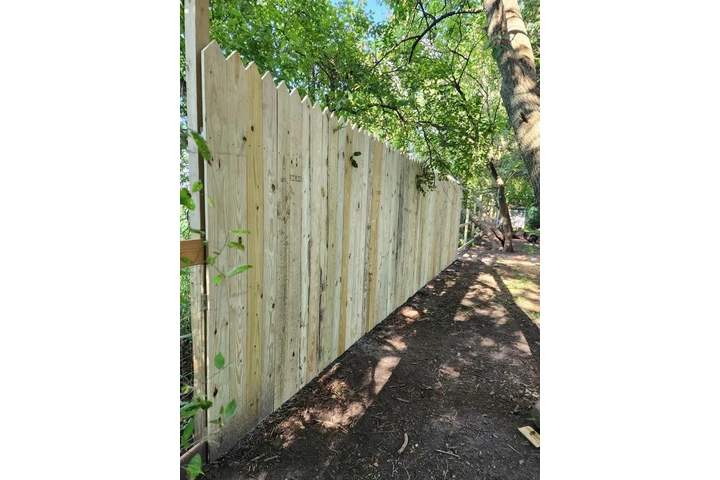 Jorge's Lawn and Landscaping image 3