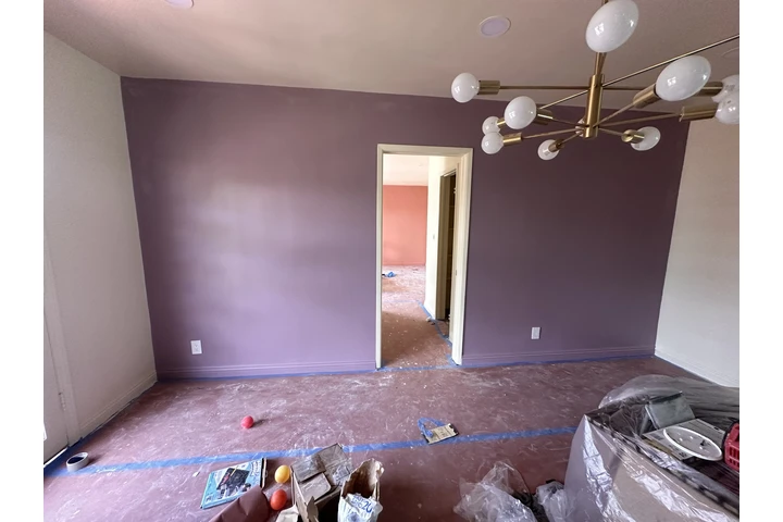 Ofrezco mi servicio de pintura image 5