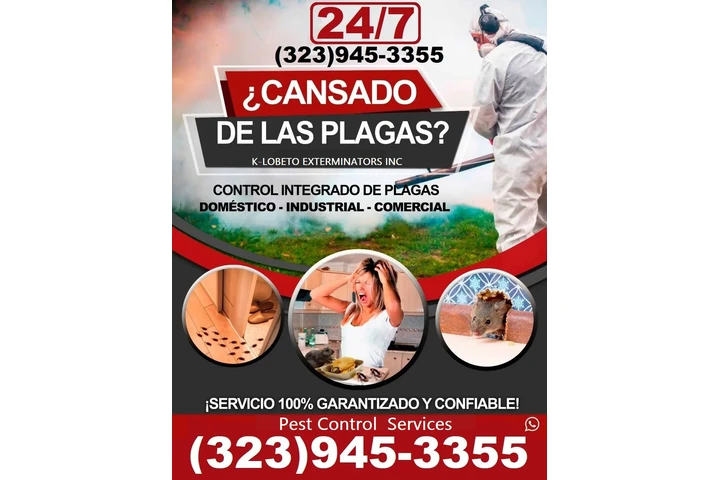 PEST CONTROL SERVICES 24/7.- image 7