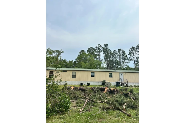 Professional Tree Services image 6
