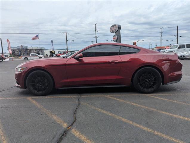 $15999 : 2015 Mustang EcoBoost image 6