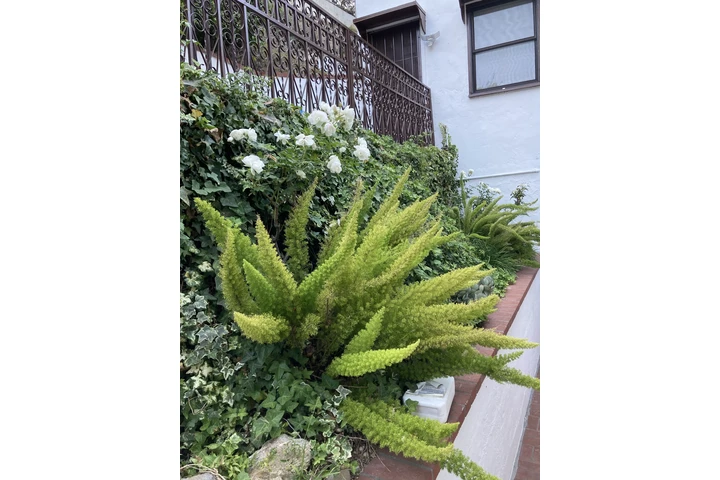 $1400 : FURNISHED ROOM/BATH ALL INC. image 9