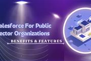 salesforce public sector cloud