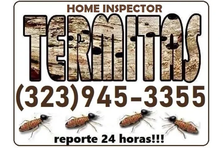 FUMIGACION TERMITAS MAYWOOD.- image 9